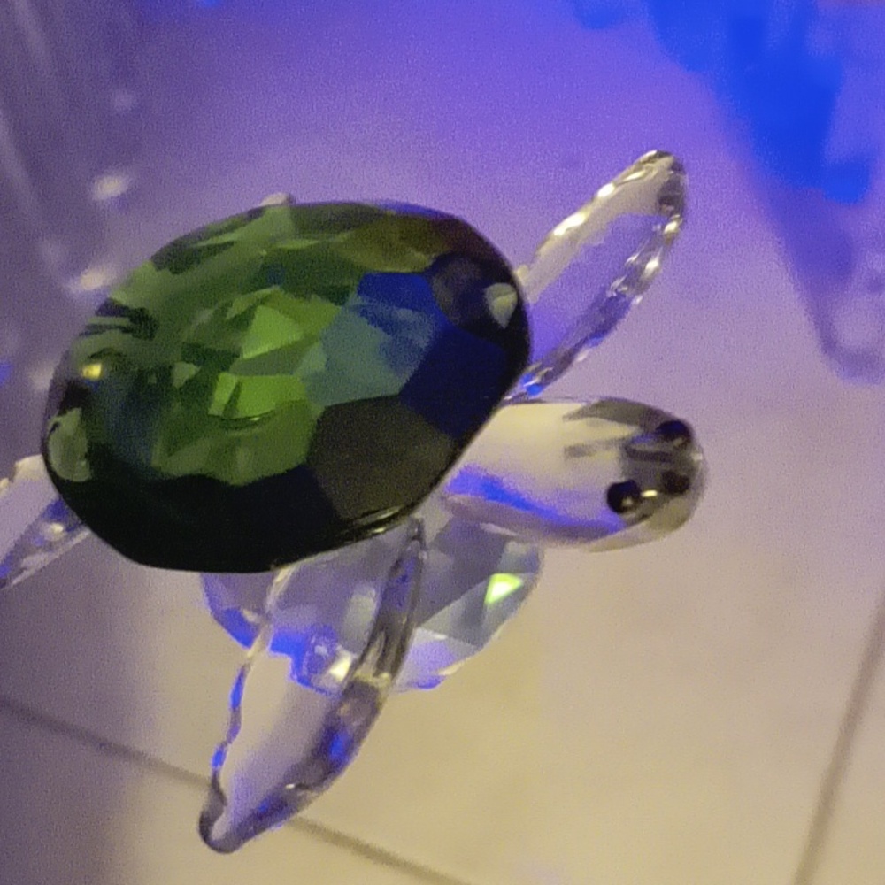 Turtle ,clear& green